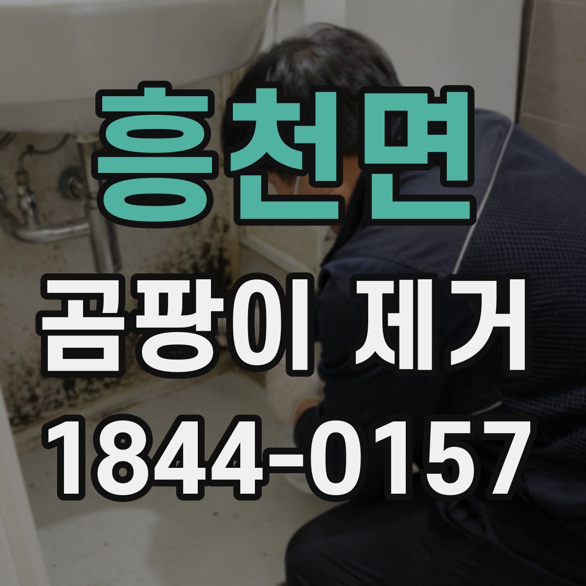 흥천면 곰팡이 제거