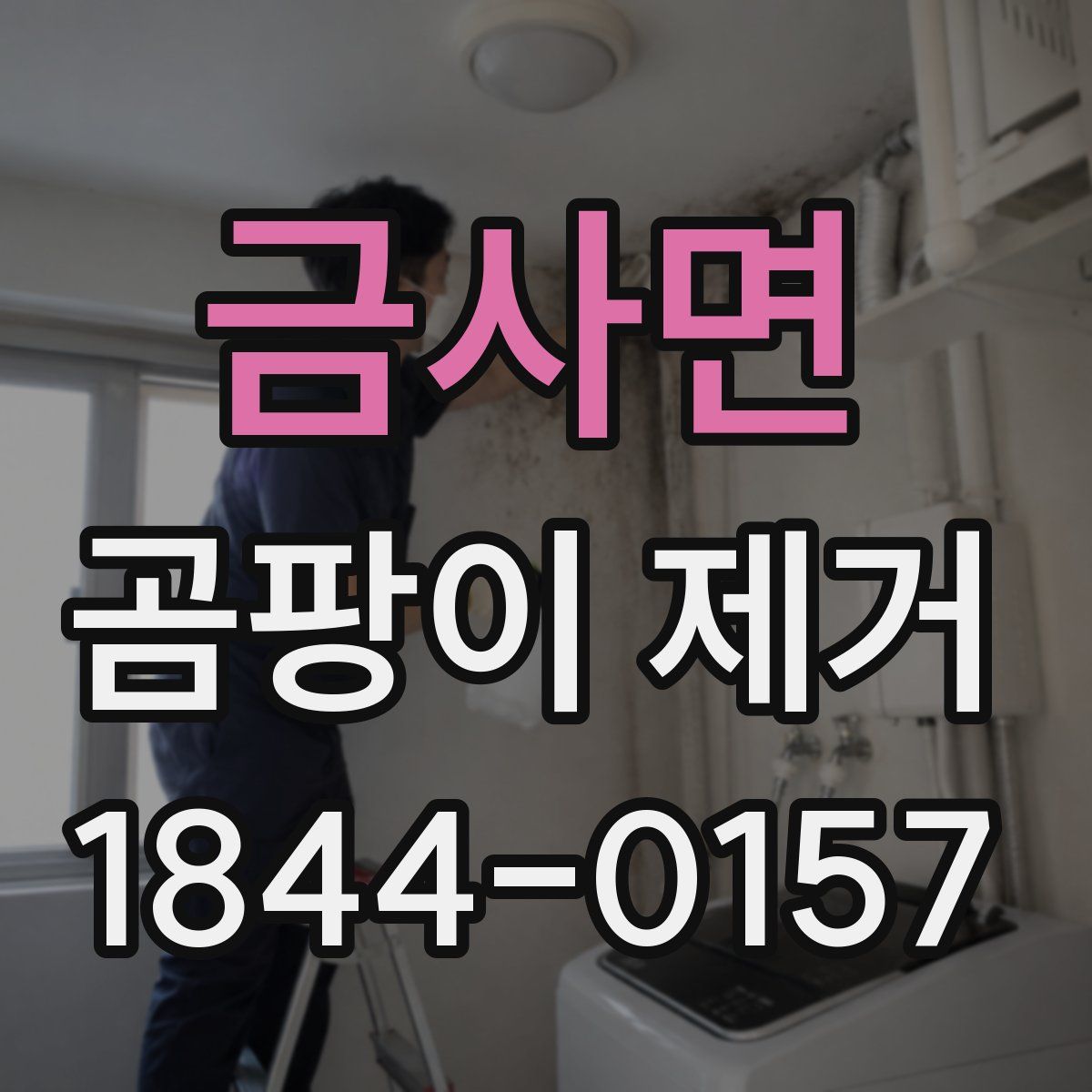 금사면 곰팡이 제거