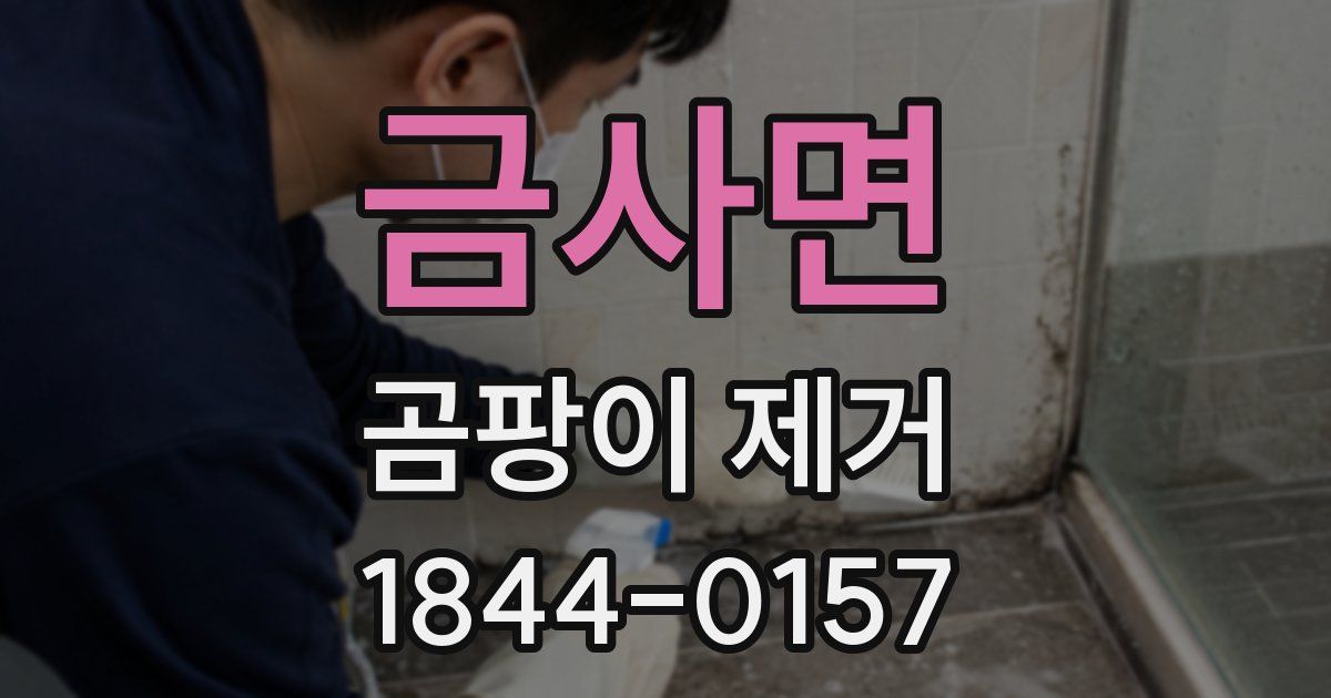 금사면 곰팡이 제거