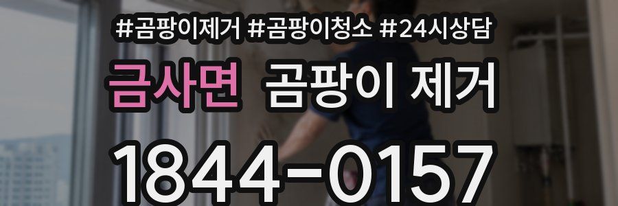 금사면 곰팡이 제거