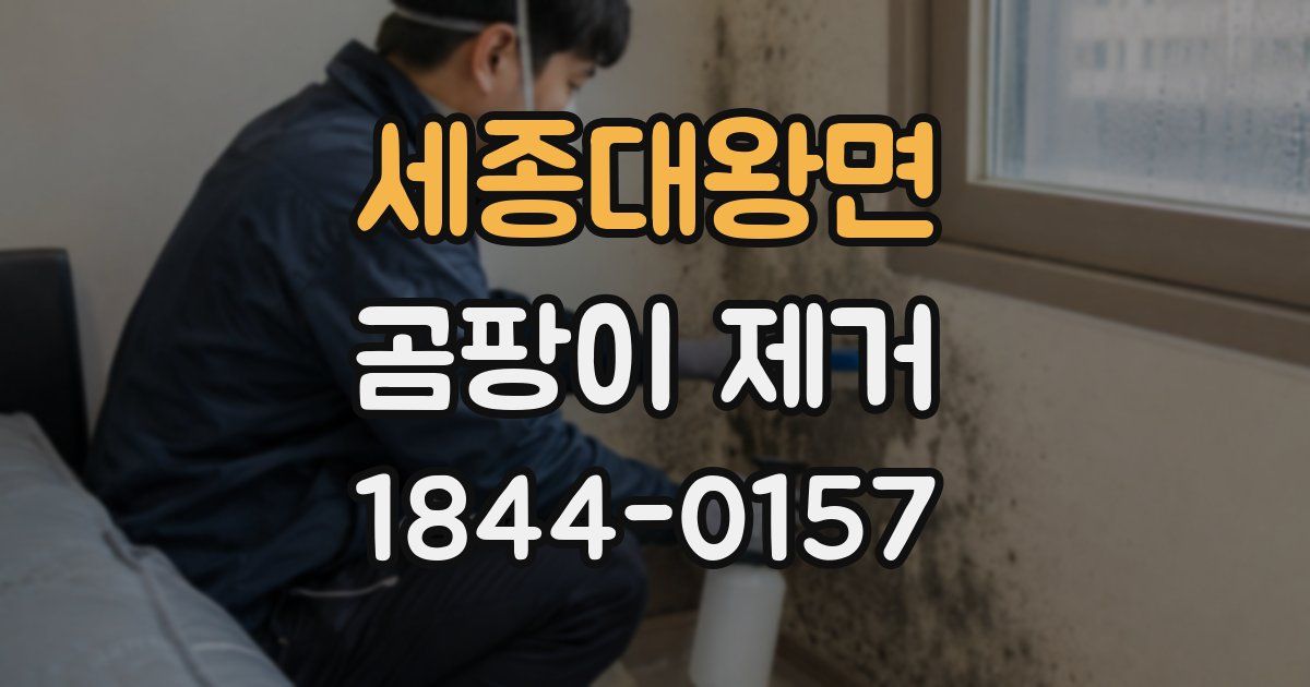 세종대왕면 곰팡이 제거