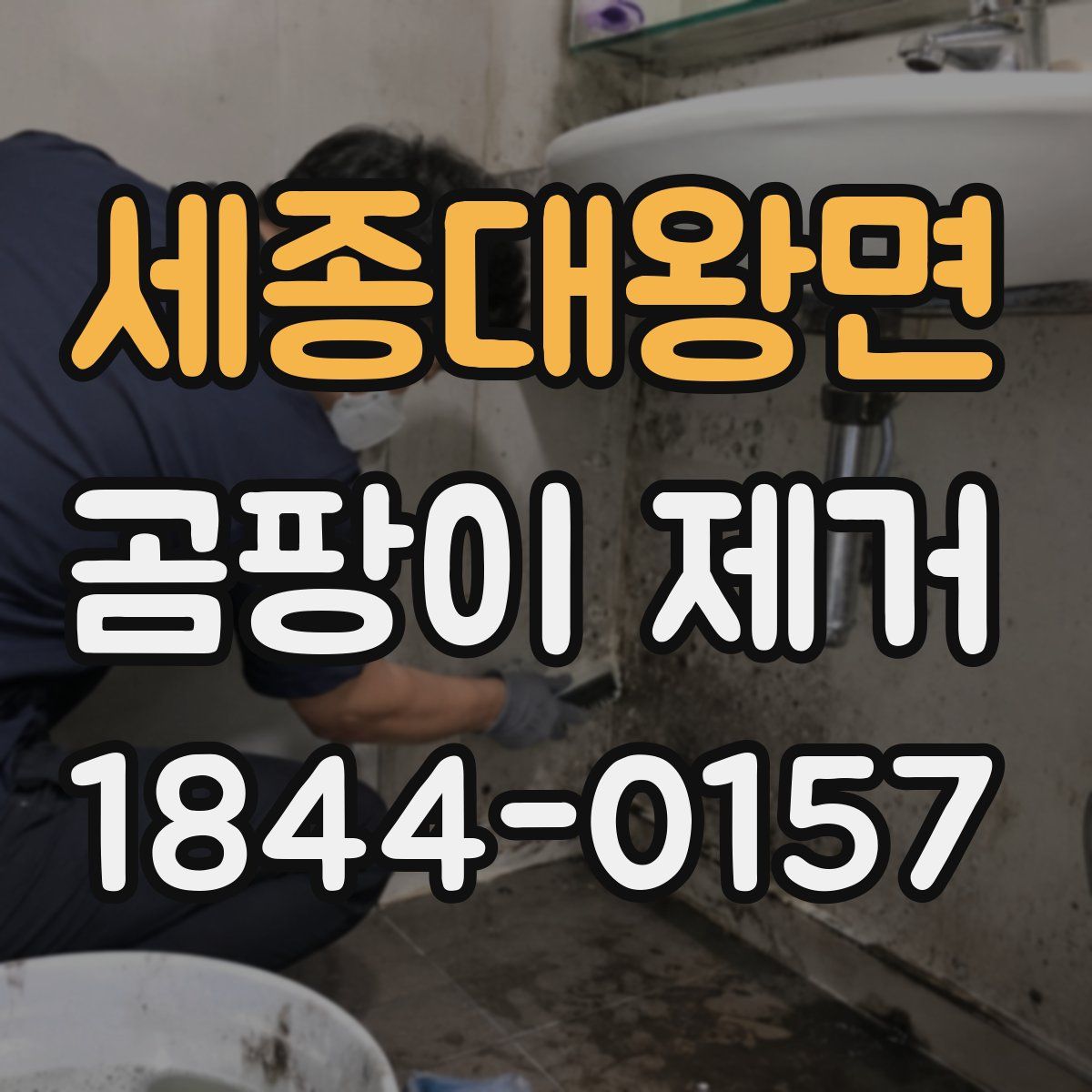 세종대왕면 곰팡이 제거