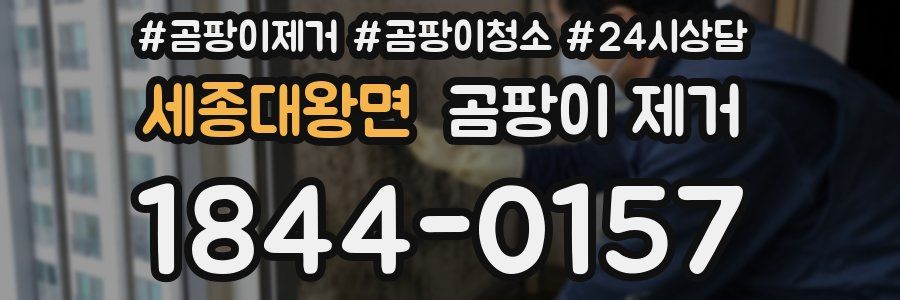 세종대왕면 곰팡이 제거