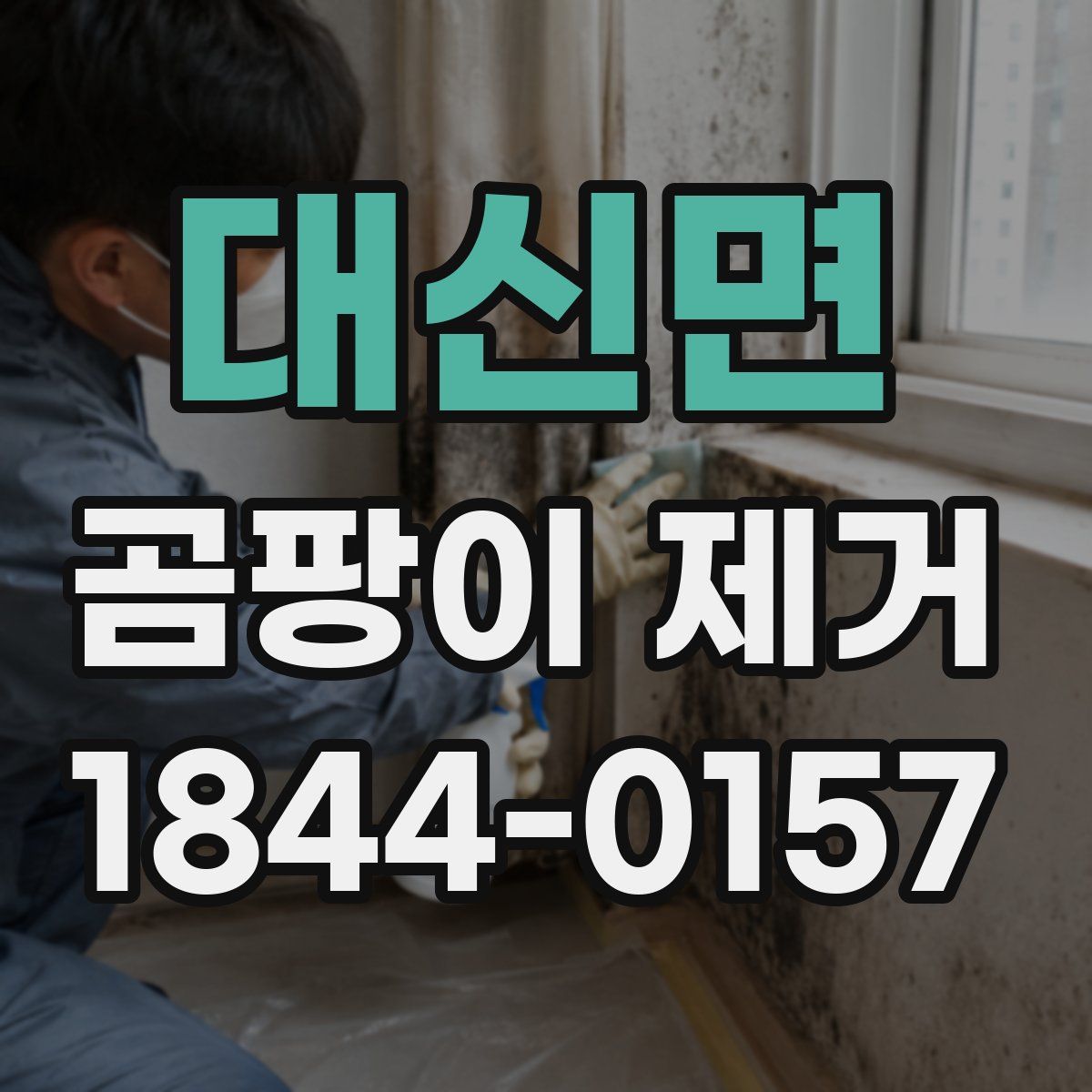 대신면 곰팡이 제거