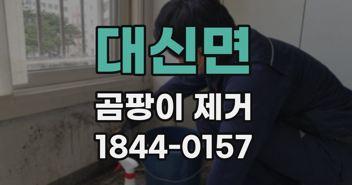 대신면 곰팡이 제거