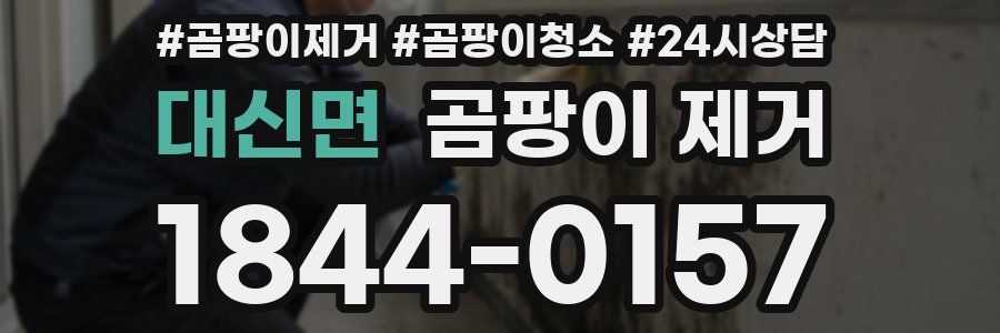대신면 곰팡이 제거