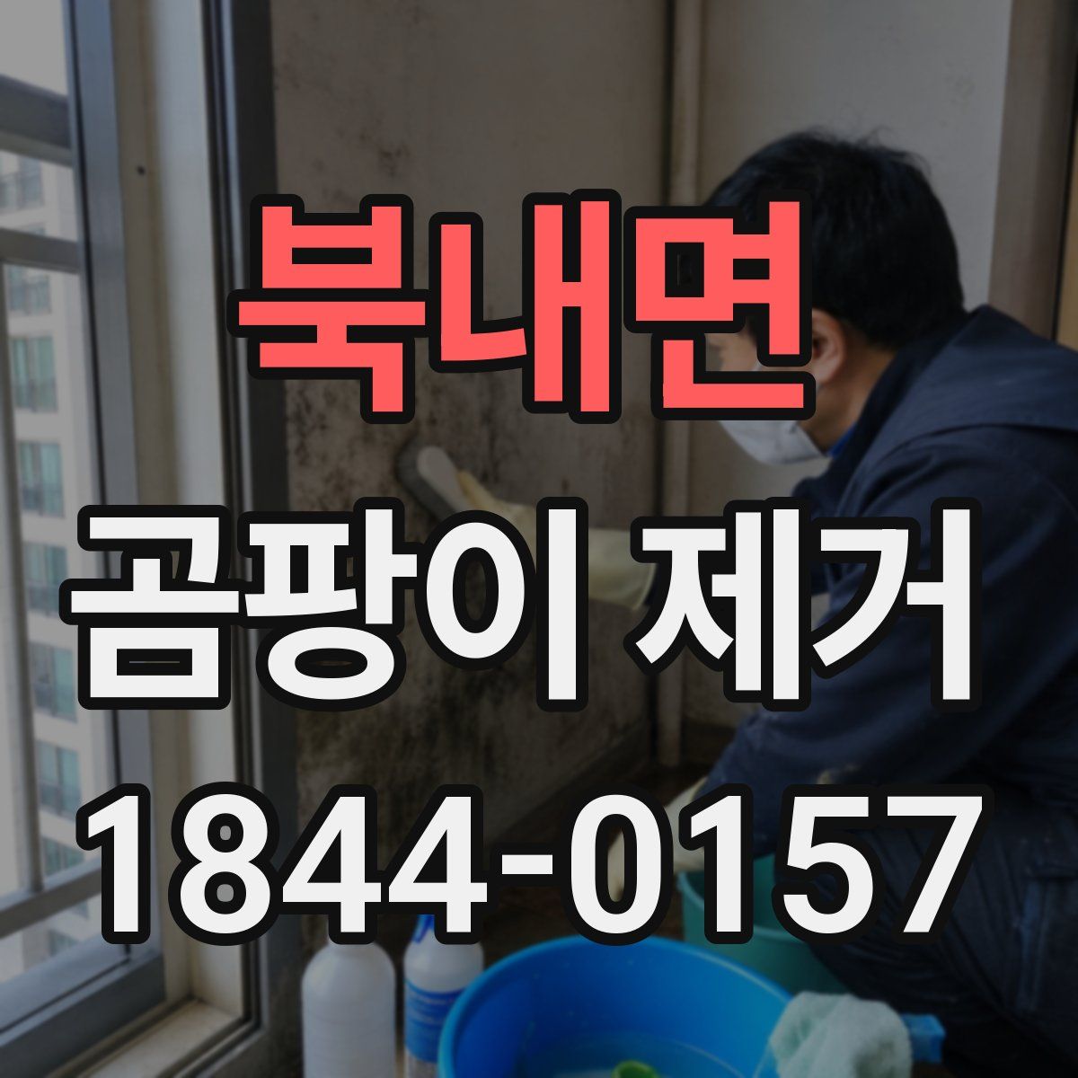 북내면 곰팡이 제거