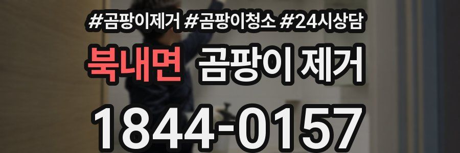 북내면 곰팡이 제거