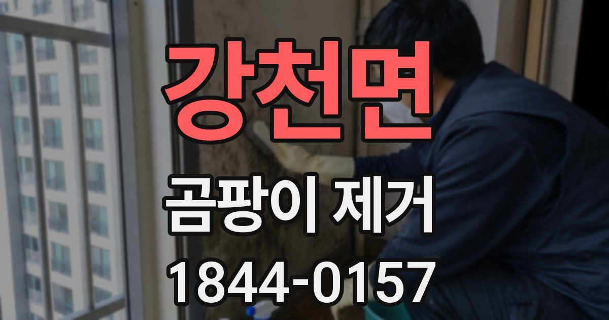 강천면 곰팡이 제거