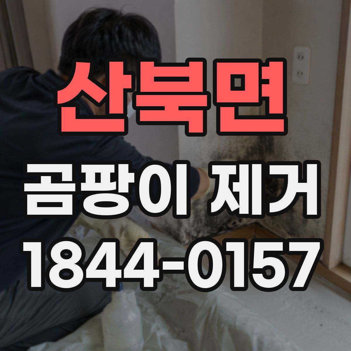 산북면 곰팡이 제거