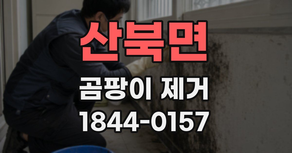 산북면 곰팡이 제거