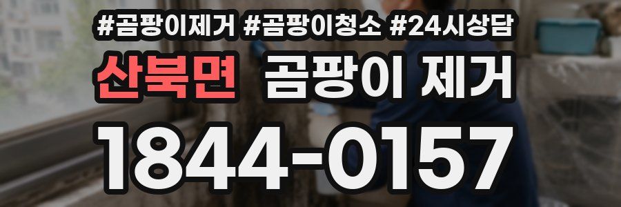 산북면 곰팡이 제거