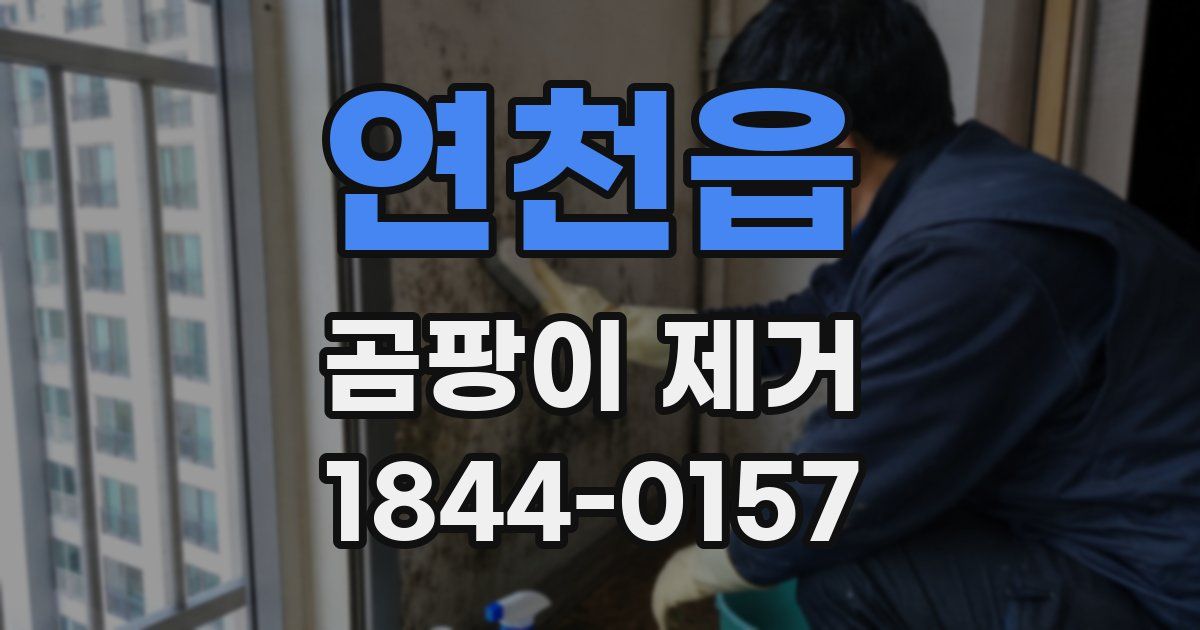 연천읍 곰팡이 제거