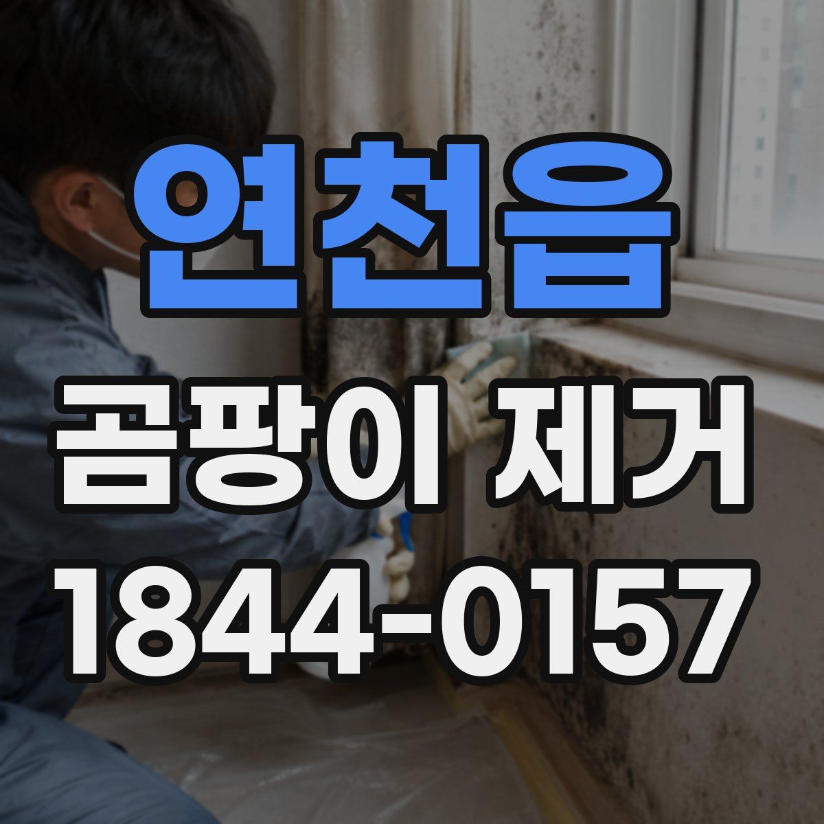 연천읍 곰팡이 제거