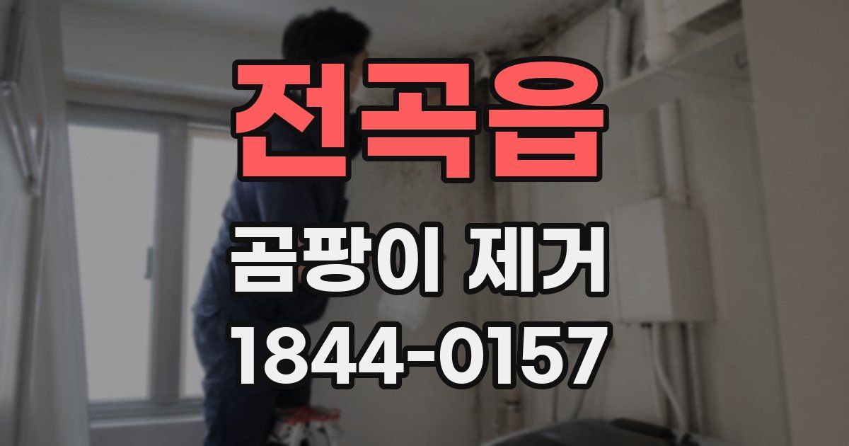 전곡읍 곰팡이 제거