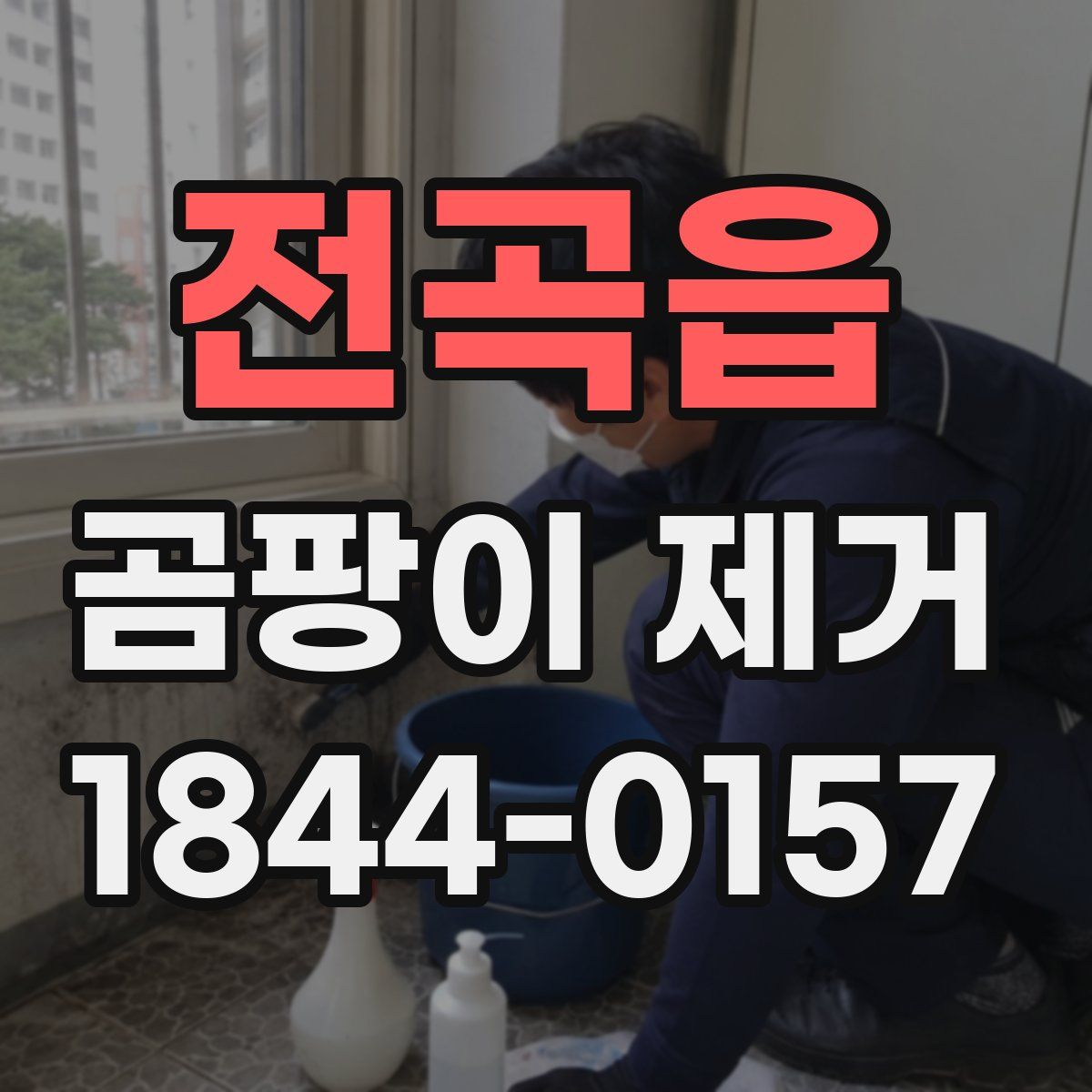 전곡읍 곰팡이 제거