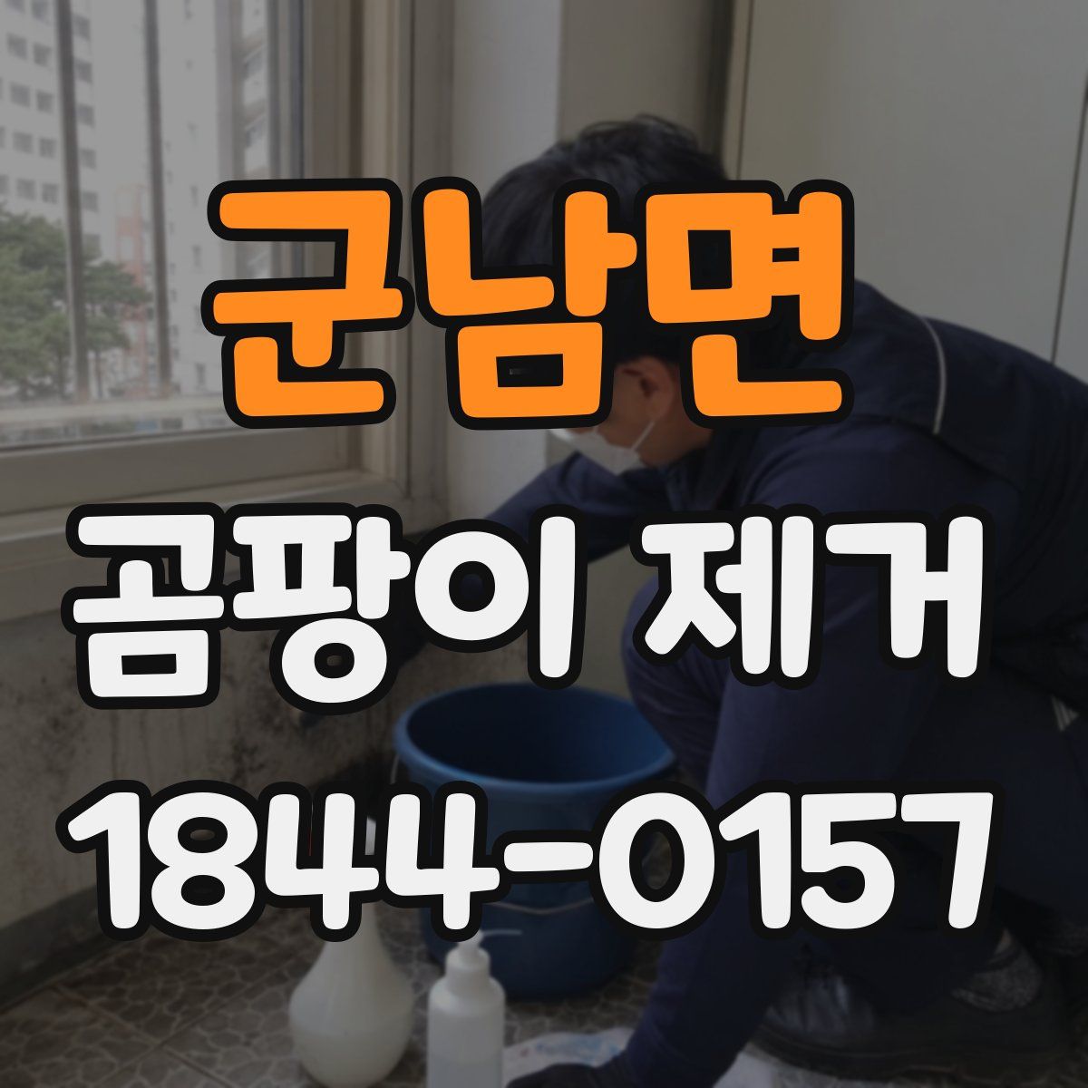 군남면 곰팡이 제거