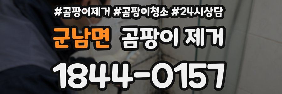 군남면 곰팡이 제거