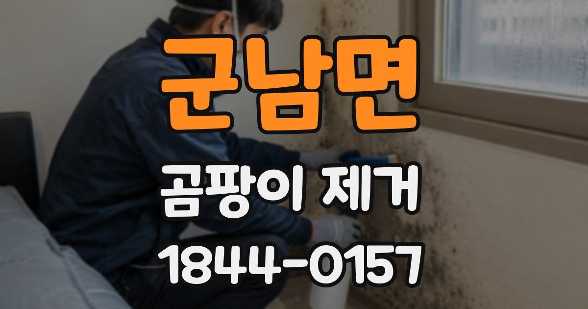 군남면 곰팡이 제거