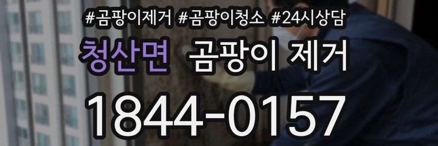 청산면 곰팡이 제거