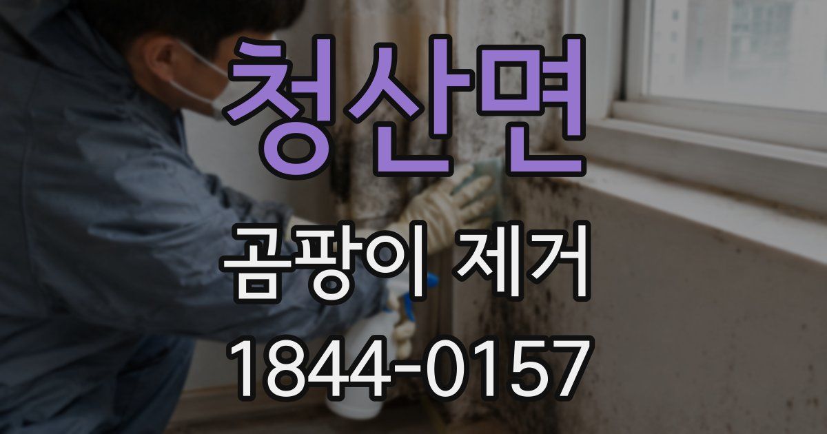 청산면 곰팡이 제거