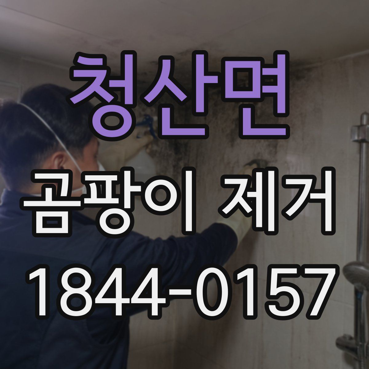 청산면 곰팡이 제거