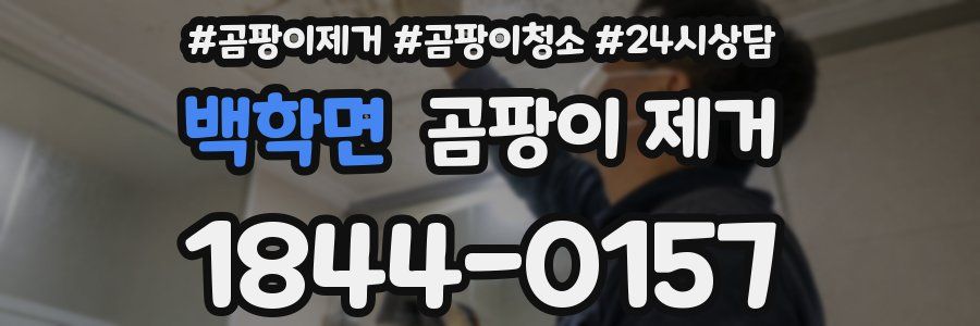 백학면 곰팡이 제거