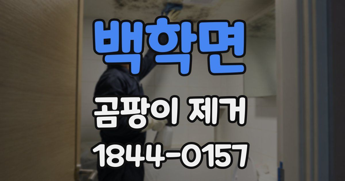 백학면 곰팡이 제거