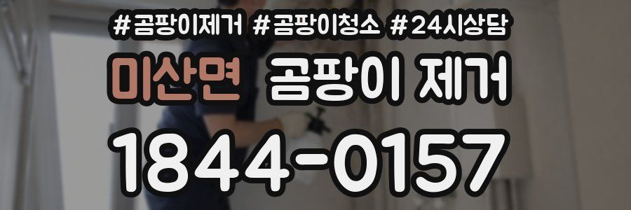 미산면 곰팡이 제거