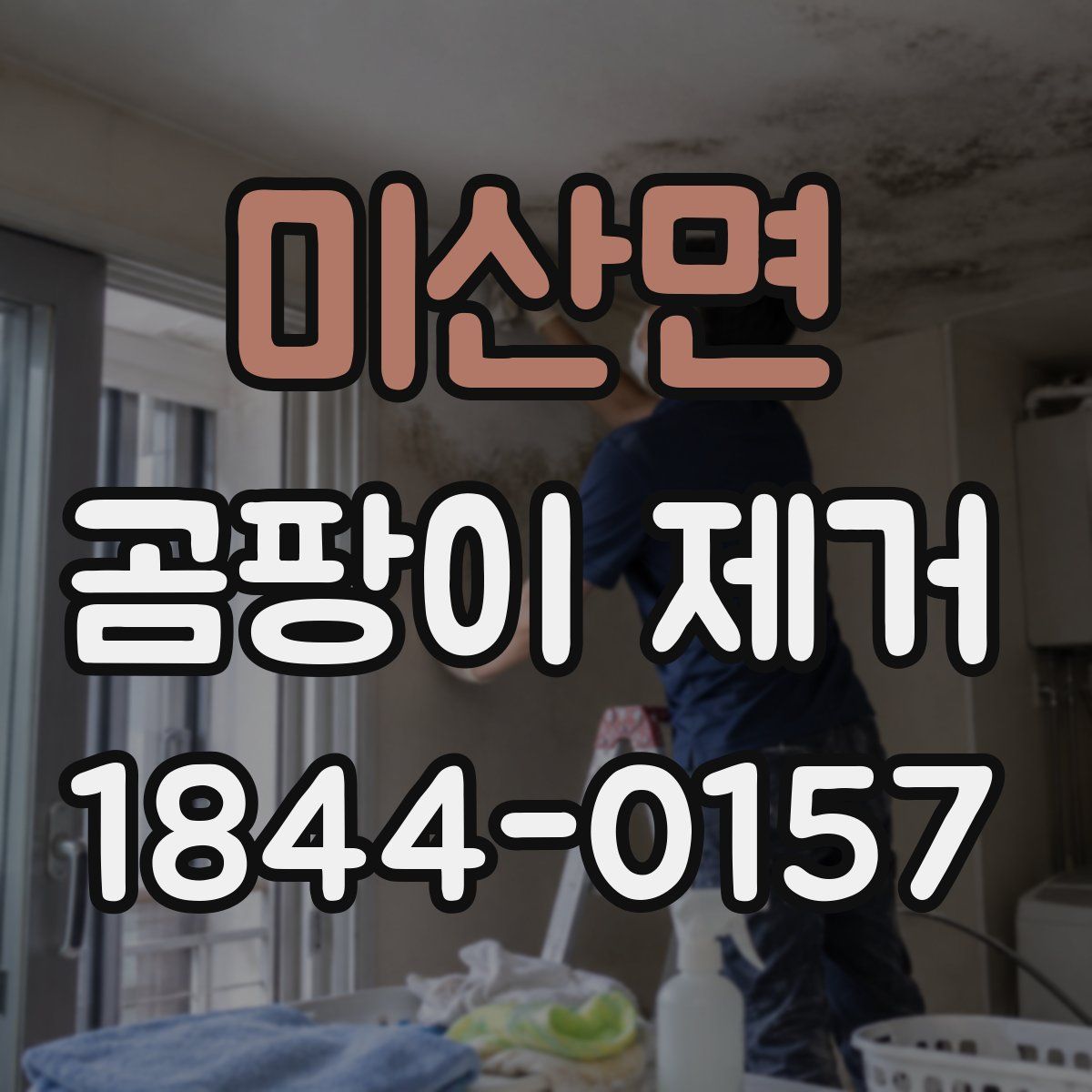 미산면 곰팡이 제거