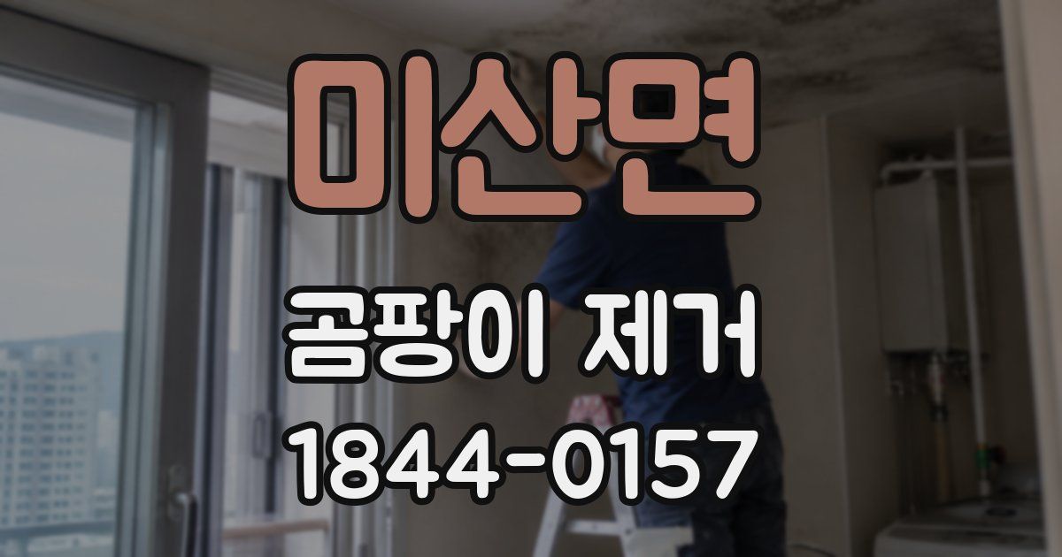 미산면 곰팡이 제거