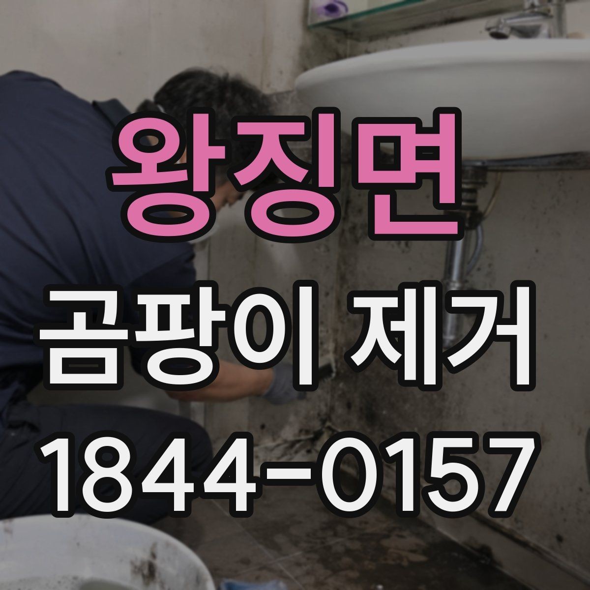 왕징면 곰팡이 제거 오피스텔 생활에서 습기 줄이는 실천법