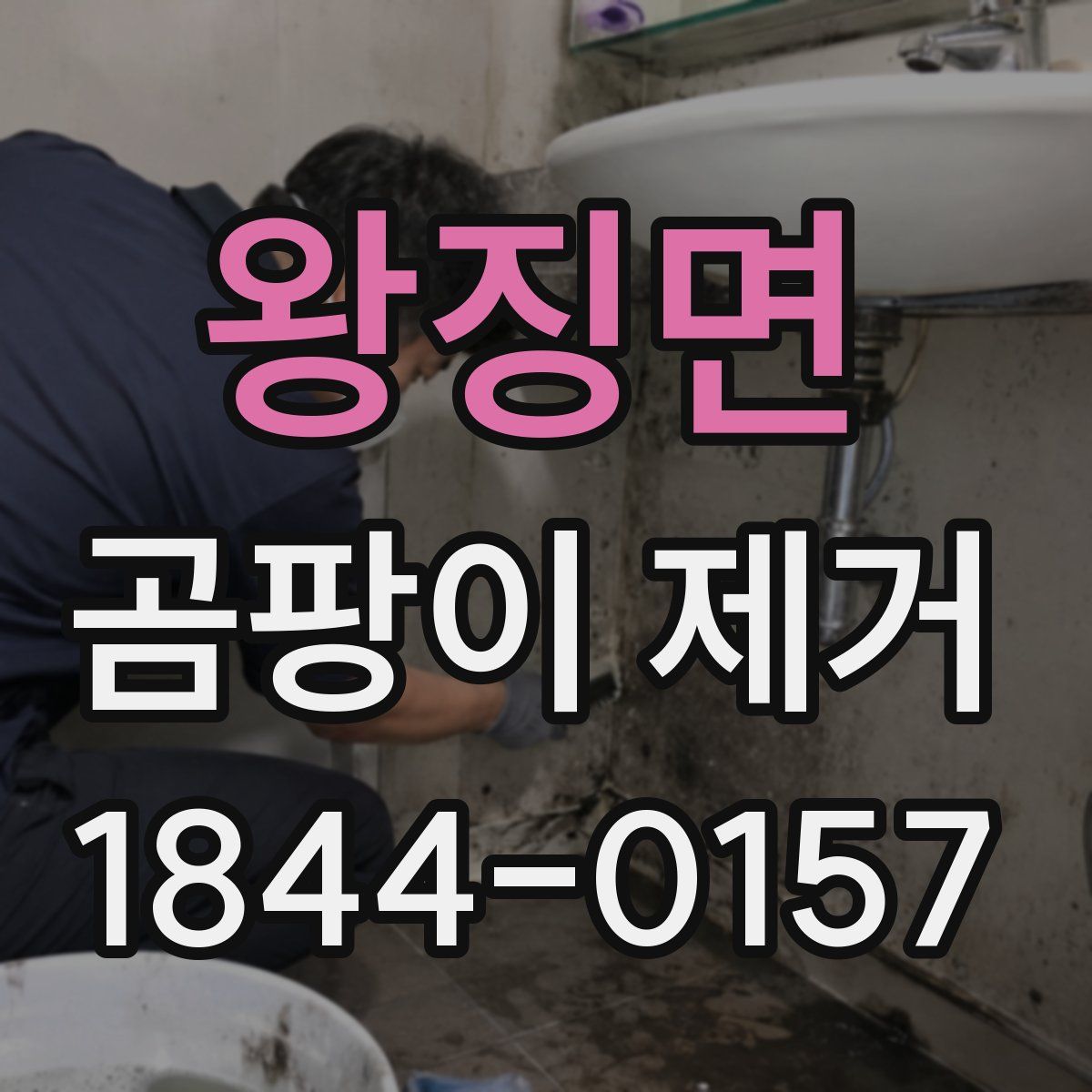 왕징면 곰팡이 제거