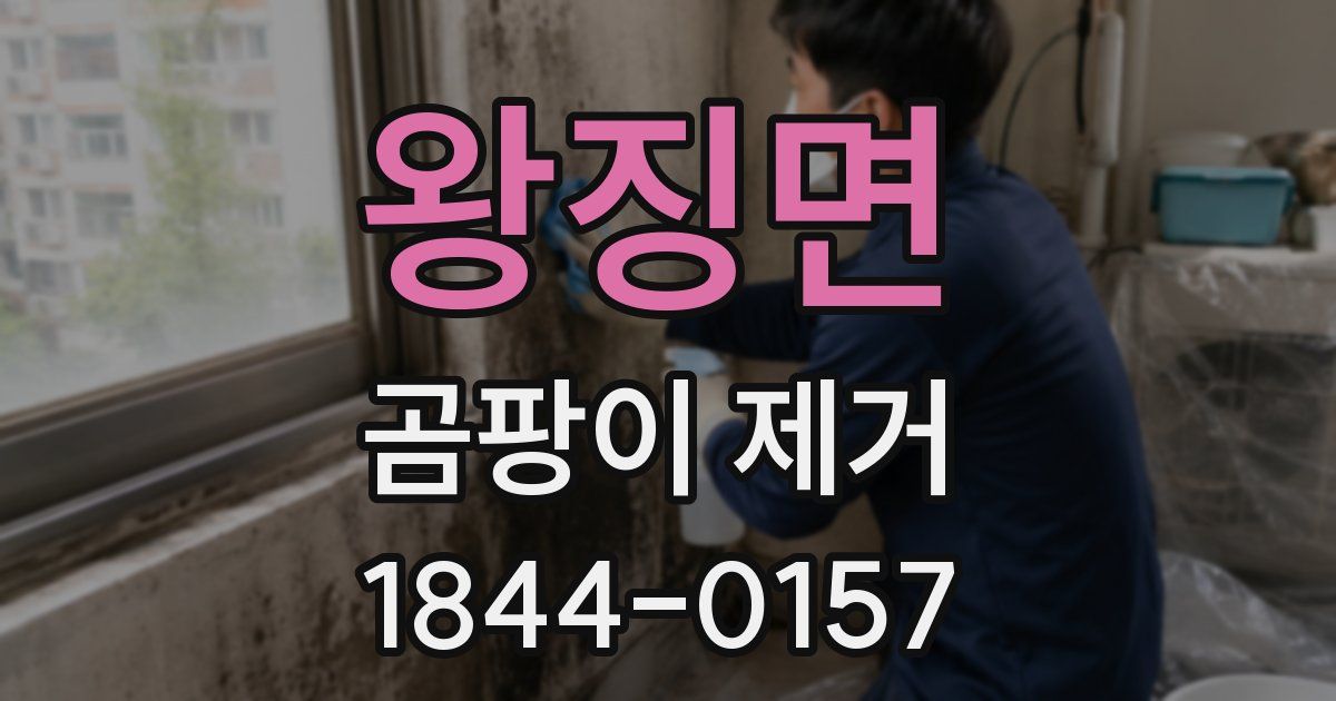 왕징면 곰팡이 제거