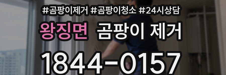 왕징면 곰팡이 제거