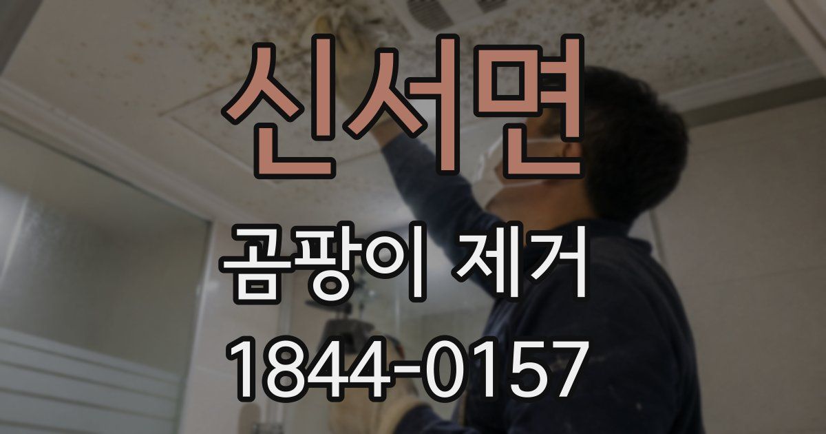 신서면 곰팡이 제거