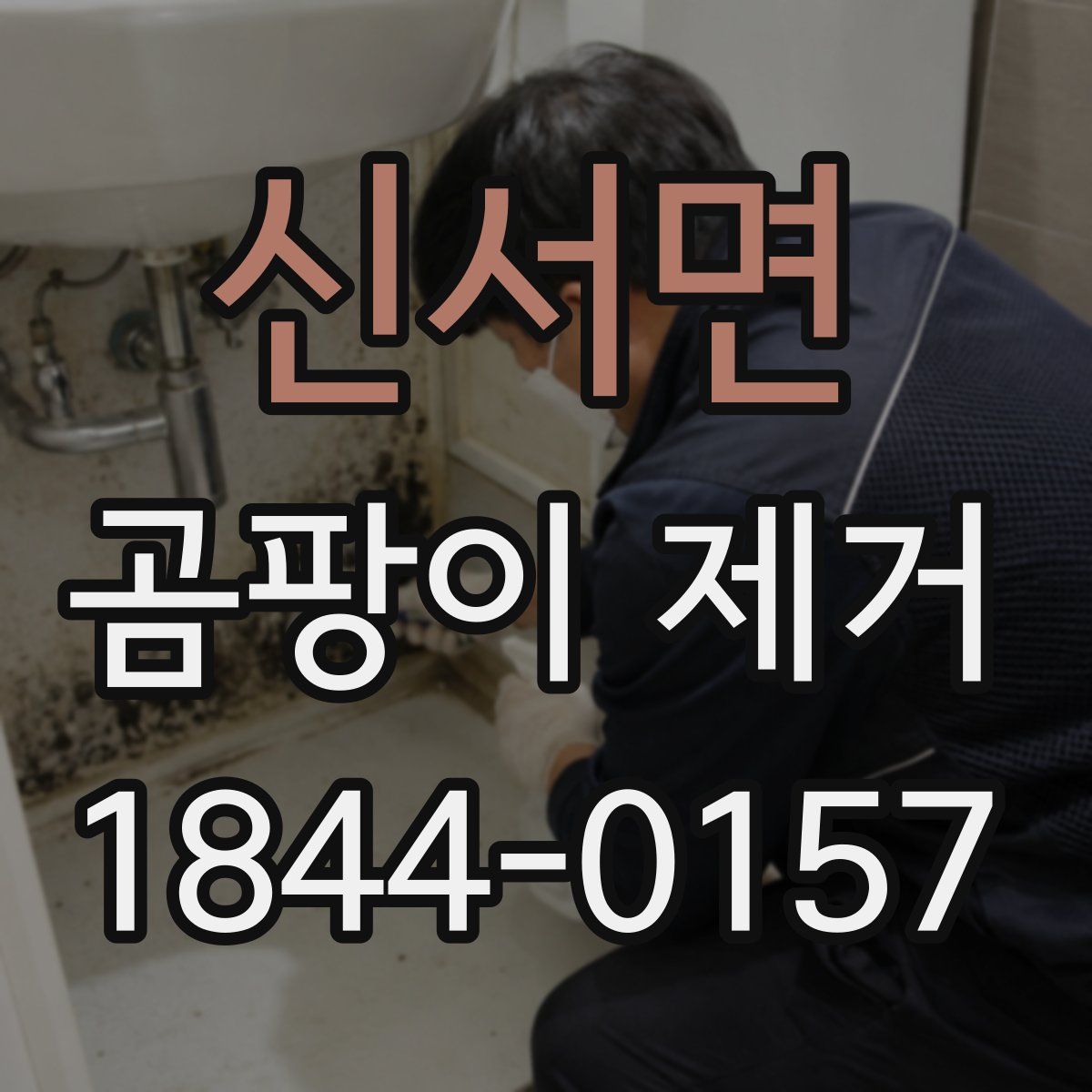 신서면 곰팡이 제거
