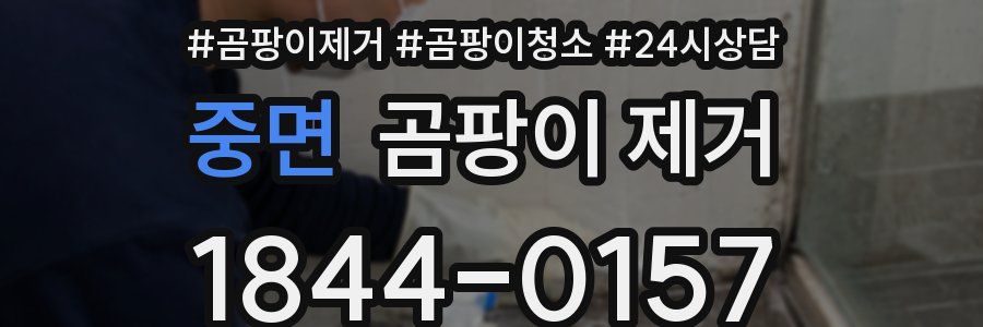 중면 곰팡이 제거