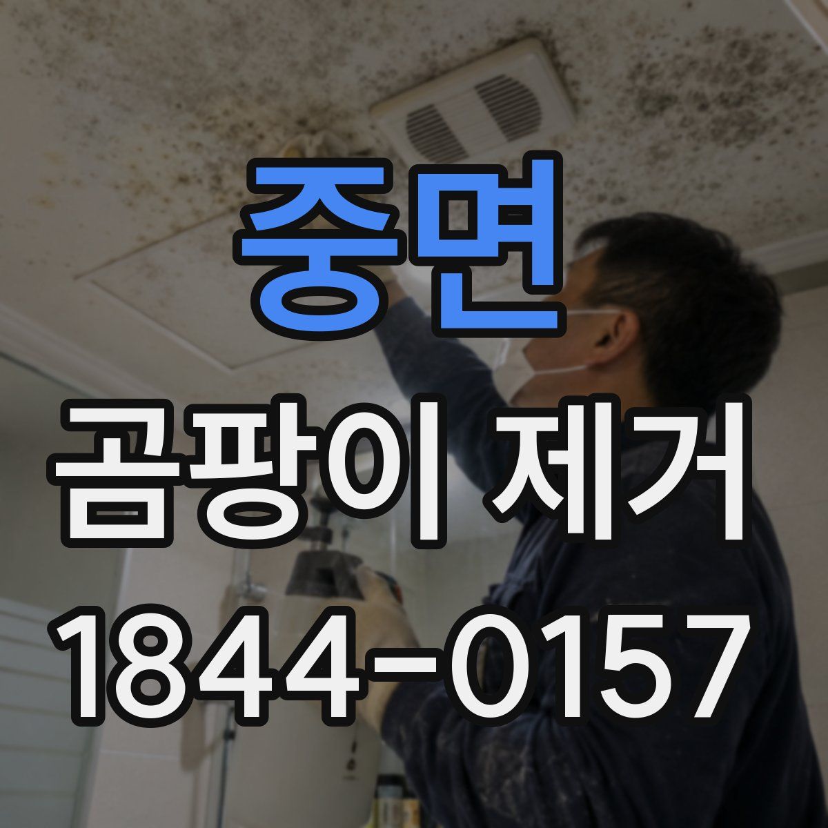 중면 곰팡이 제거