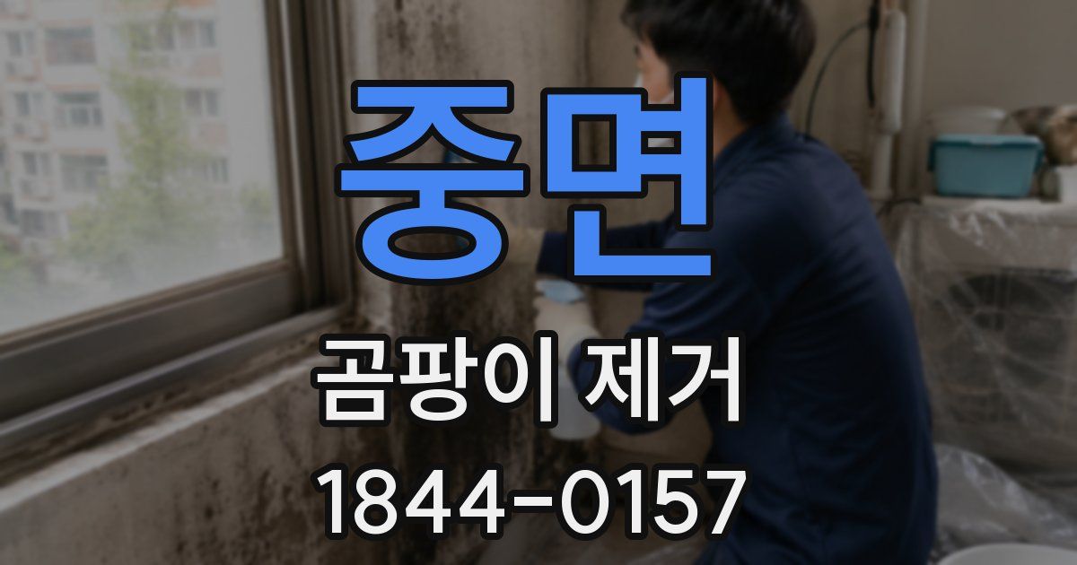 중면 곰팡이 제거