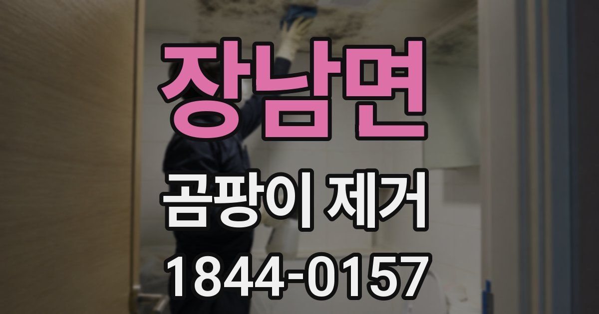 장남면 곰팡이 제거