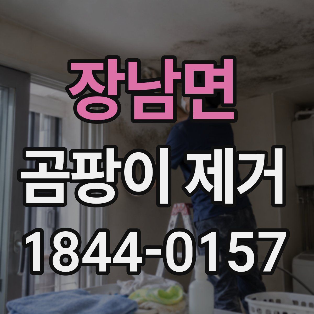 장남면 곰팡이 제거