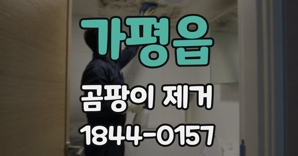 가평읍 곰팡이 제거