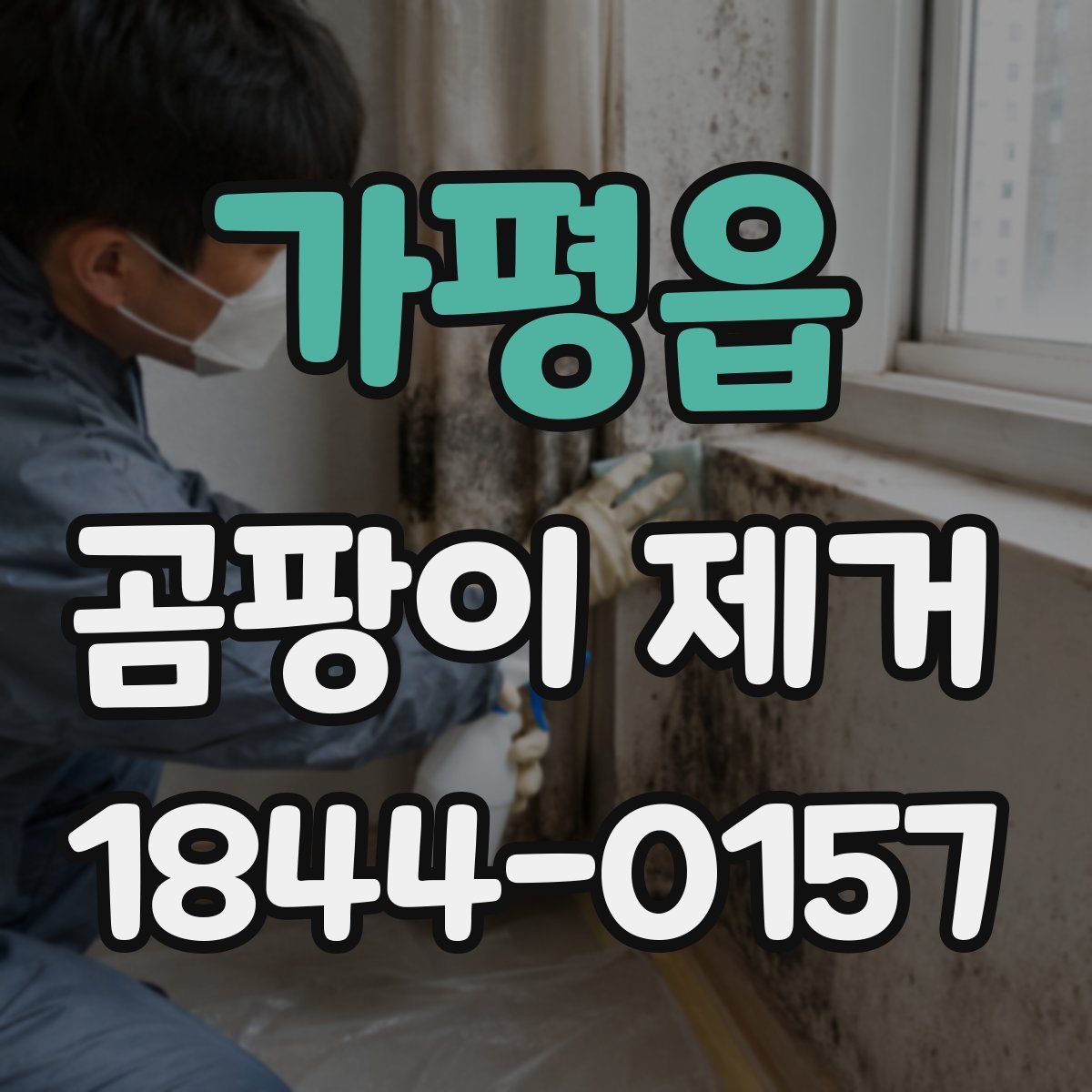 가평읍 곰팡이 제거