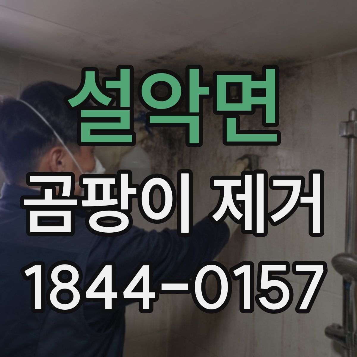 설악면 곰팡이 제거