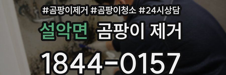설악면 곰팡이 제거