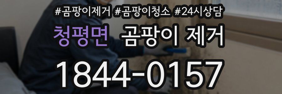 청평면 곰팡이 제거