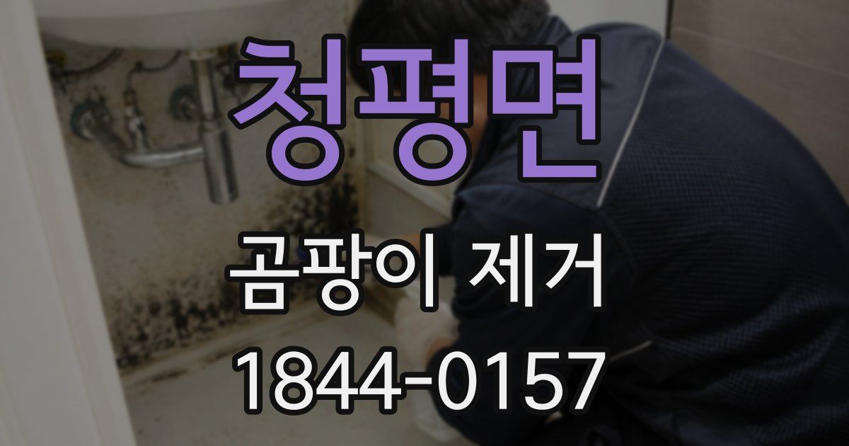 청평면 곰팡이 제거