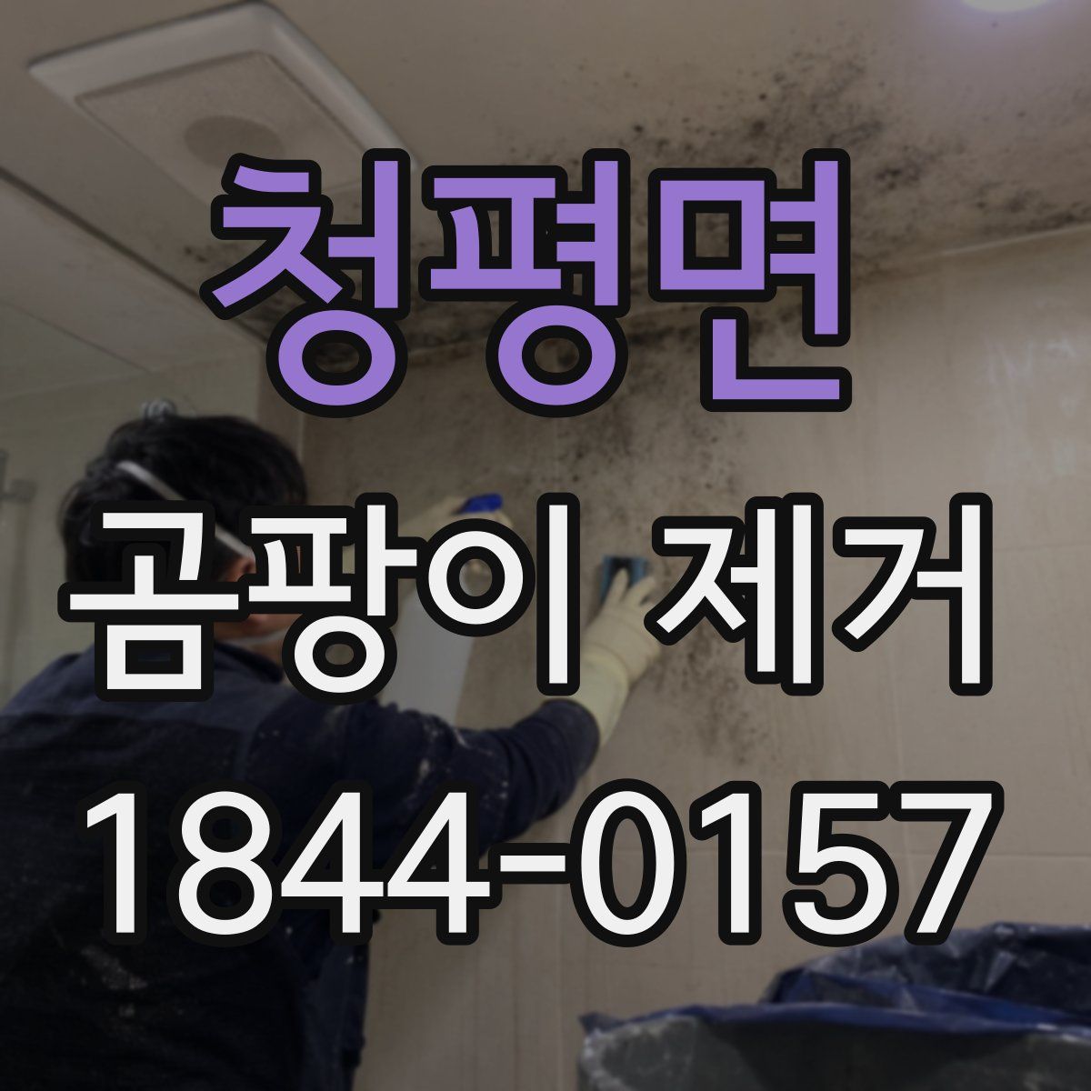 청평면 곰팡이 제거