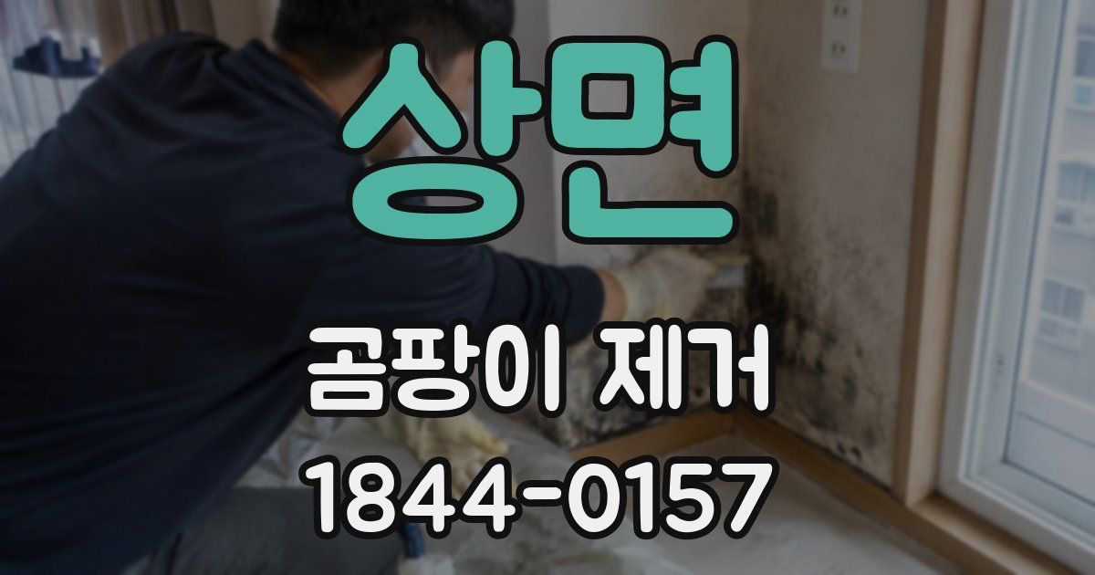 상면 곰팡이 제거